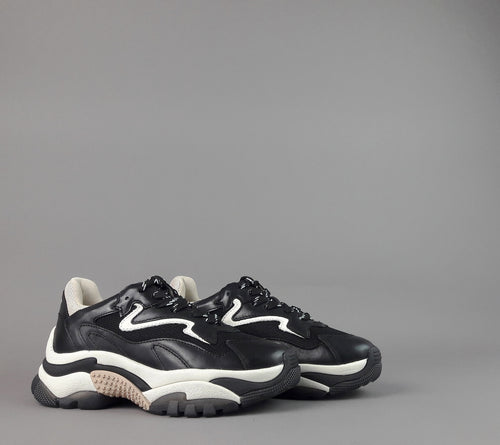 ASH Sneakers Donna Addict Pelle Tela Nero