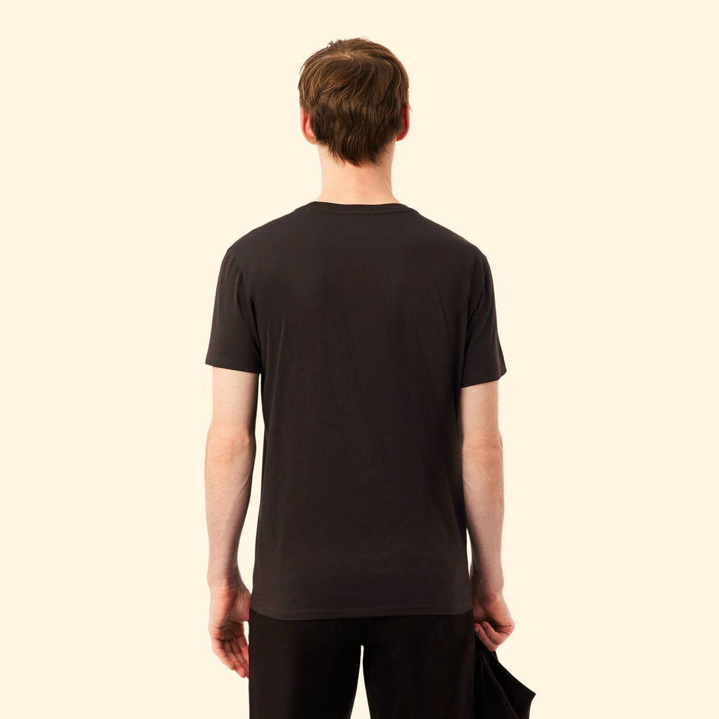 Lacoste T-Shirt Cotone Pima Testa Di Moro