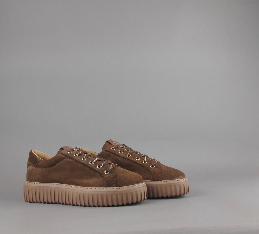 Stokton Sneakers Donna Camoscio Marrone
