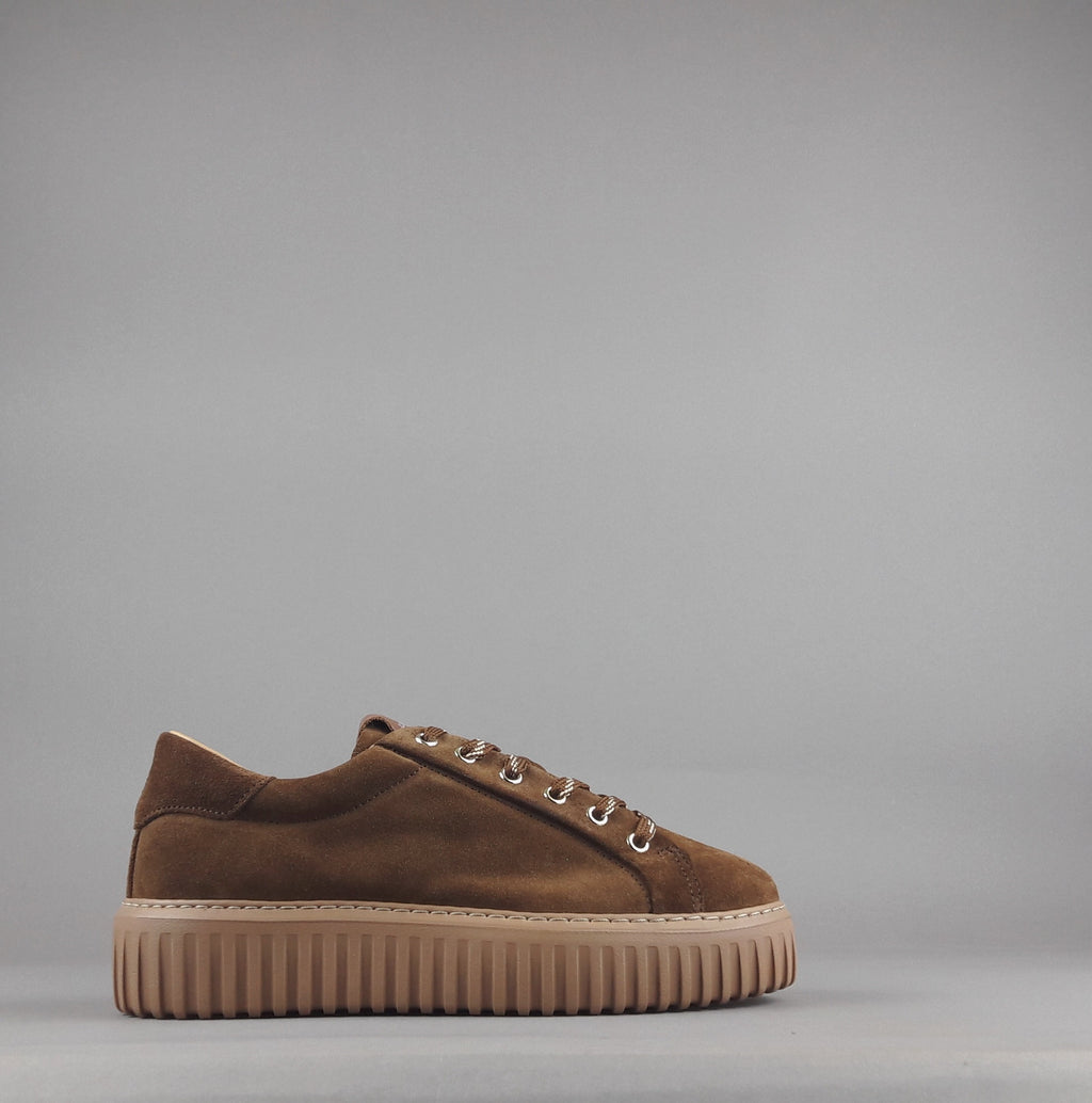 Stokton Sneakers Donna Camoscio Marrone